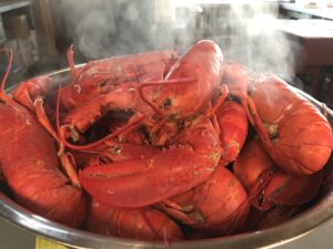 fresh steamed lobsters from Maine